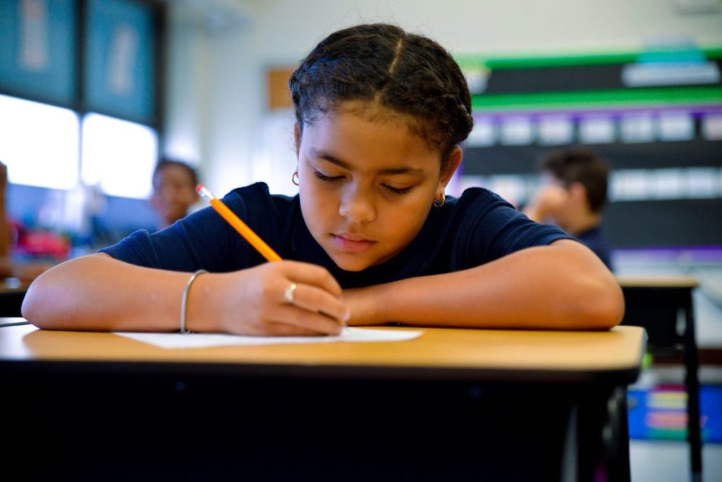 Understanding Public Charter Schools